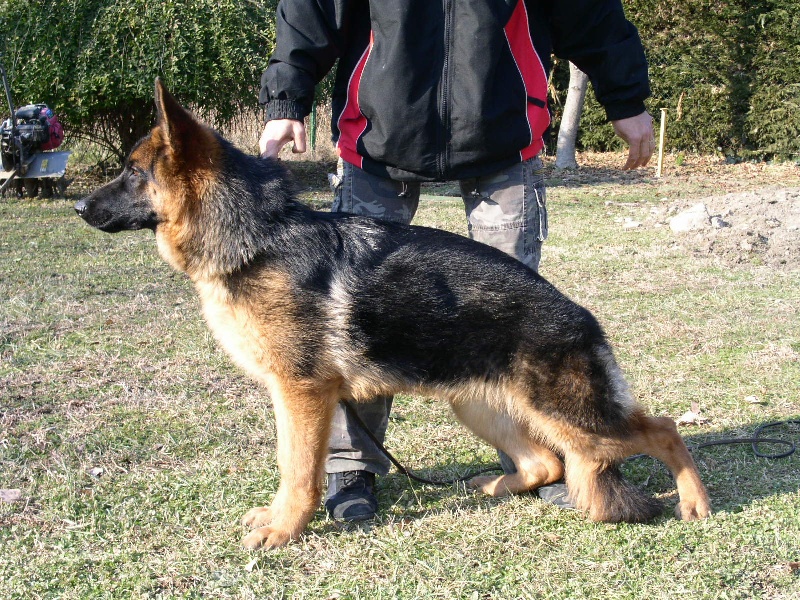 Publication : De la bastide du val de cagnes Auteur : MADRICK