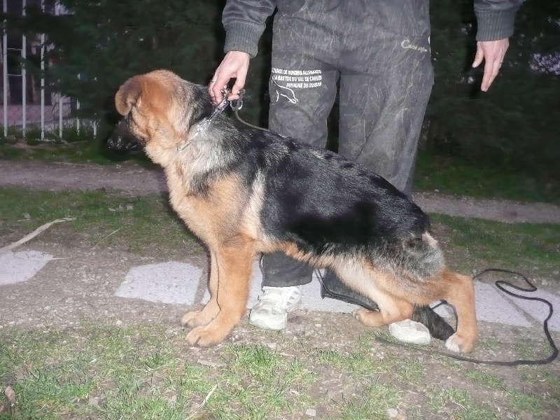 Publication : De la bastide du val de cagnes Auteur : @jM06/CALDIN