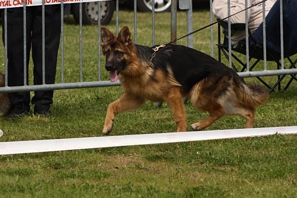 Publication : De la bastide du val de cagnes Auteur : @jM06/CALDIN