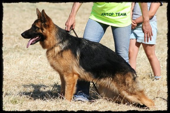 Publication : De la bastide du val de cagnes Auteur : @jM06/CALDIN