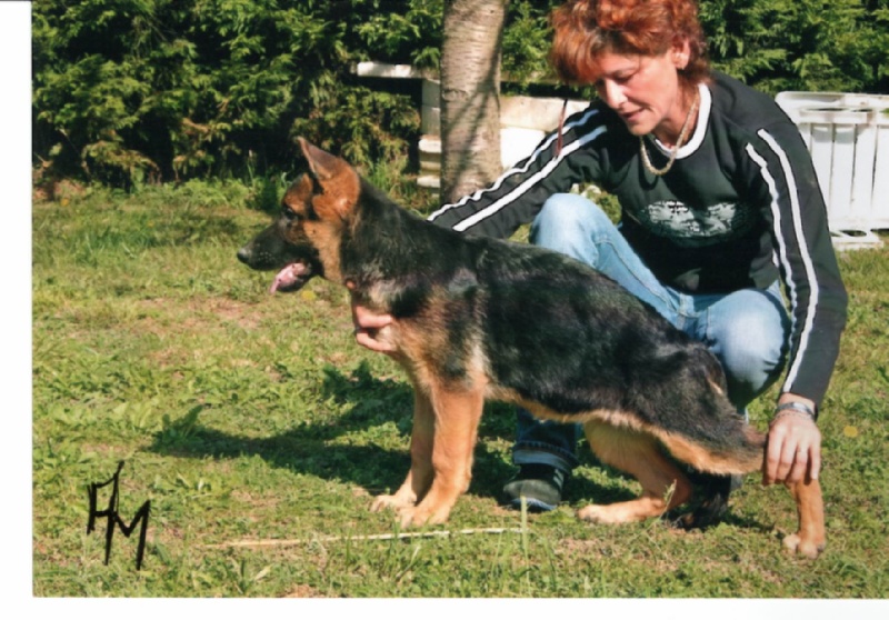 Publication : De la bastide du val de cagnes Auteur : MADRICK