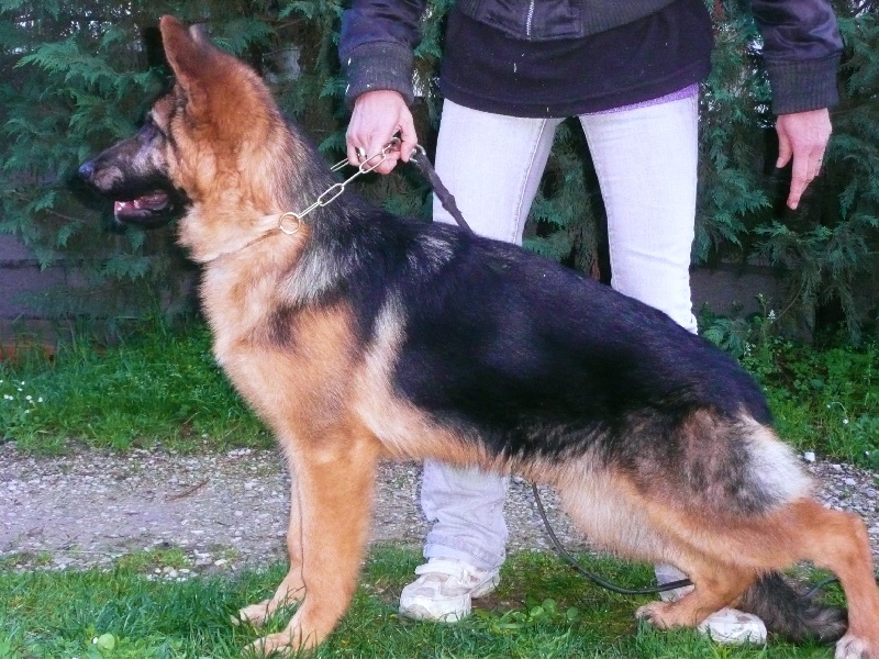 Publication : De la bastide du val de cagnes Auteur : @jM06/CALDIN