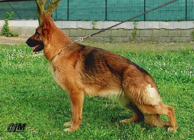 Publication : De la bastide du val de cagnes Auteur : MARTANI.TEAM/CALDIN