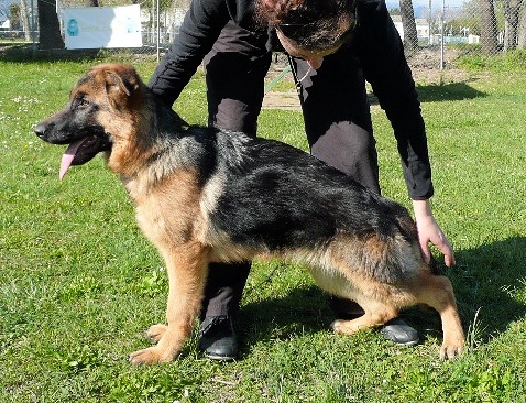 Publication : De la bastide du val de cagnes Auteur : MARTANI.TEAM/CALDIN