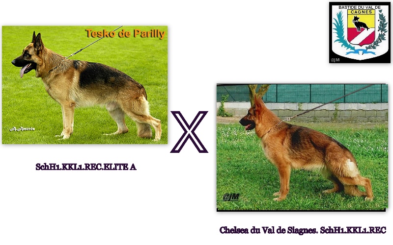 Publication : De la bastide du val de cagnes Auteur : MARTANI.TEAM/CALDIN