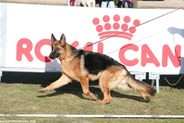 Publication : De la bastide du val de cagnes Auteur : MADRICK