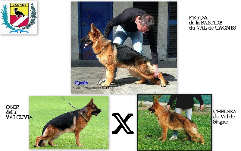 Publication : De la bastide du val de cagnes Auteur : MARTANI.TEAM/CALDIN