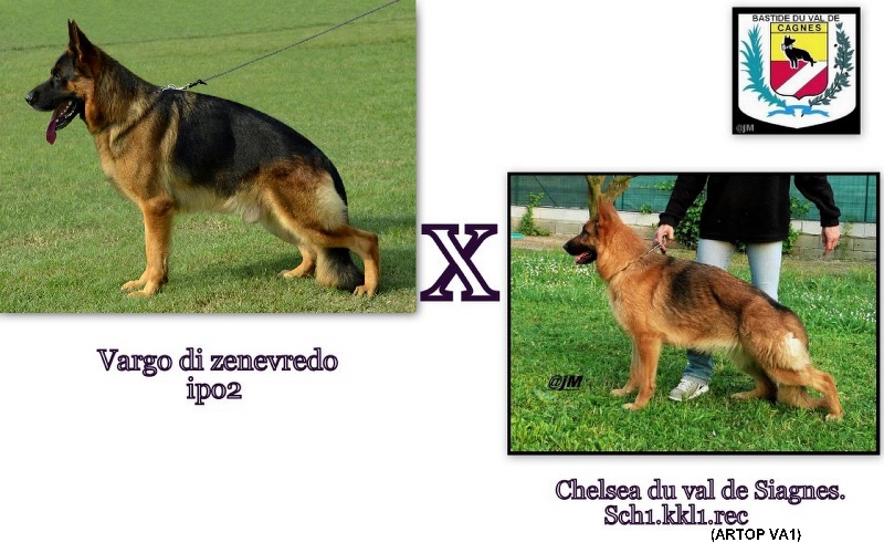 Publication : De la bastide du val de cagnes Auteur : MARTANI.TEAM/CALDIN