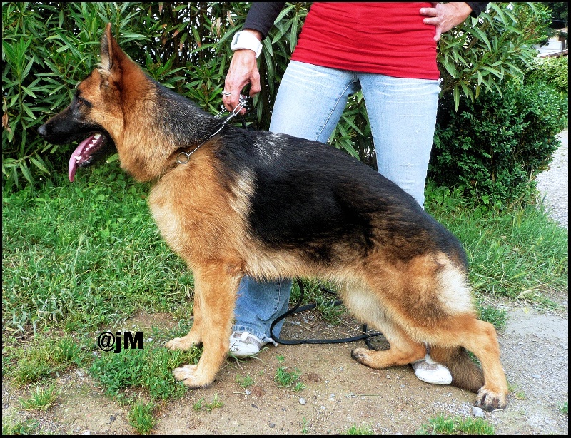 Publication : De la bastide du val de cagnes Auteur : MARTANI.TEAM/CALDIN