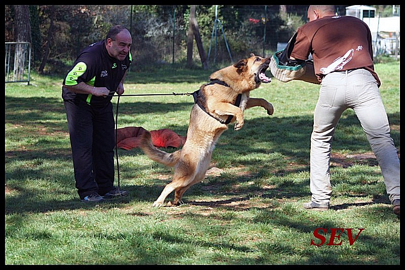 Publication : De la bastide du val de cagnes Auteur : MARTANI.TEAM/CALDIN
