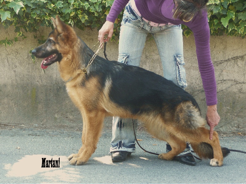 Publication : De la bastide du val de cagnes Auteur : @jM06/CALDIN