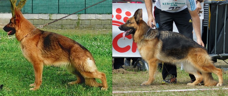 Publication : De la bastide du val de cagnes Auteur : MARTANI.TEAM/CALDIN