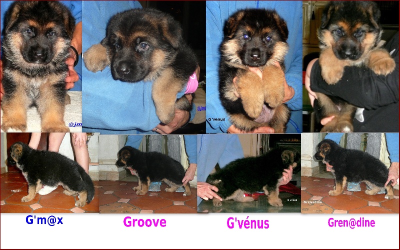 Publication : De la bastide du val de cagnes Auteur : MARTANI.TEAM/CALDIN