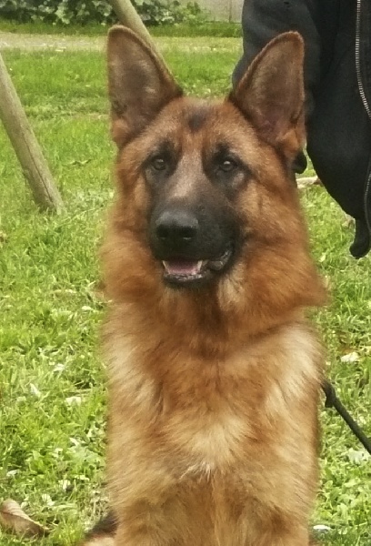 Publication : De la bastide du val de cagnes Auteur : @jM06/CALDIN