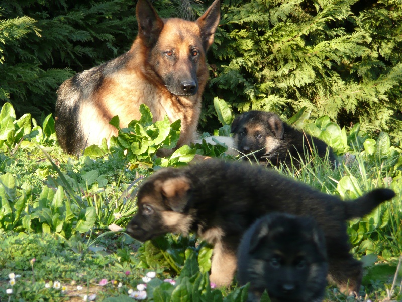 Publication : De la bastide du val de cagnes Auteur : MADRICK