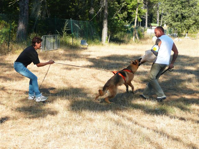 Publication : De la bastide du val de cagnes Auteur : @jM06/CALDIN