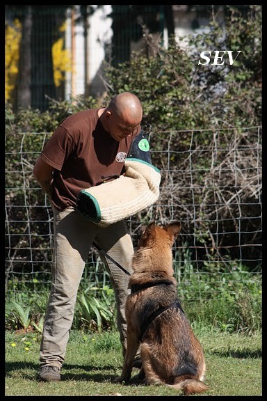 Publication : De la bastide du val de cagnes Auteur : MARTANI.TEAM/CALDIN