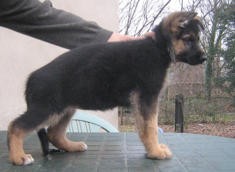 Publication : De la bastide du val de cagnes Auteur : @jM06/CALDIN