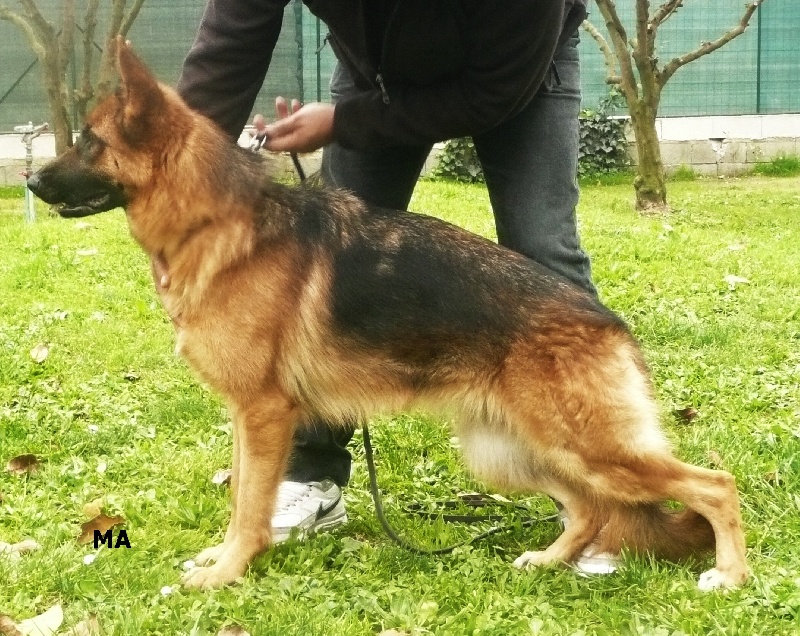 Publication : De la bastide du val de cagnes Auteur : @jM06/CALDIN