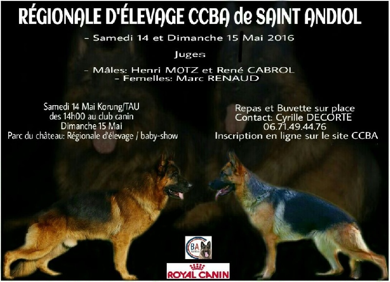 Joga bonito De la bastide du val de cagnes - 1er EXC (JEUNES MALES)