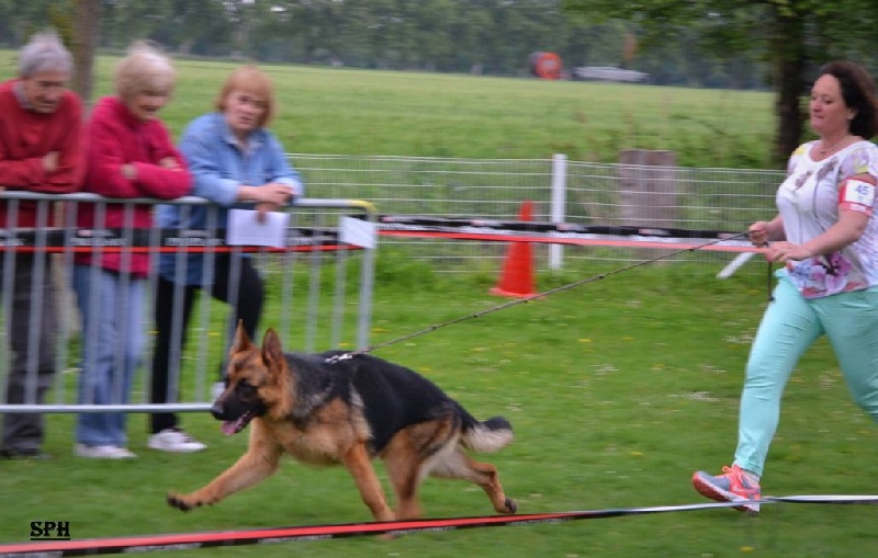 Joga bonito De la bastide du val de cagnes - 1er TB
