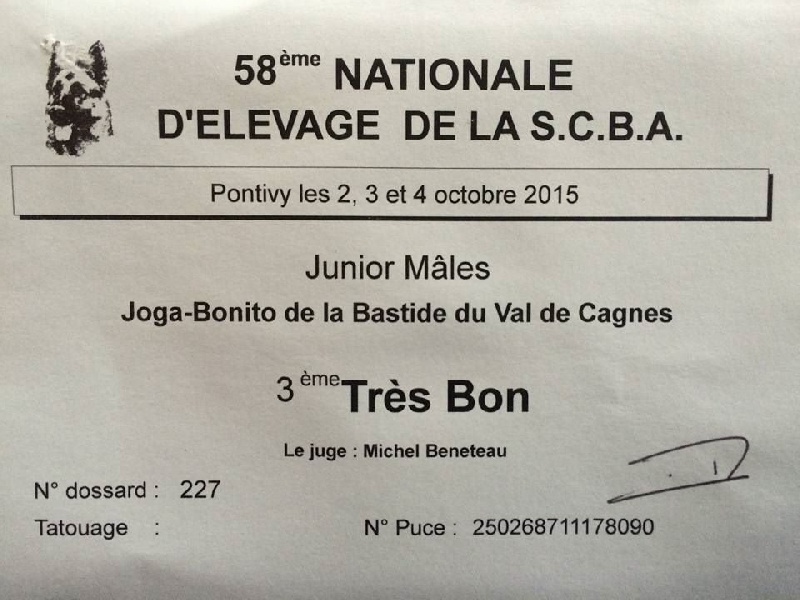 Joga bonito De la bastide du val de cagnes - 3 eme TB
