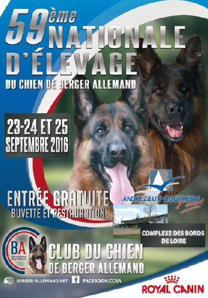 Joga bonito De la bastide du val de cagnes - 6éme EXC.Test caractere SATISFAISANT