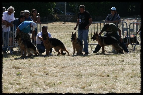 Doulla De parilly - 2éme TP