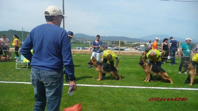 Joga bonito De la bastide du val de cagnes - Sg1