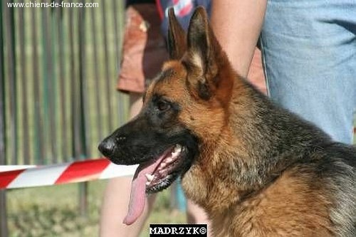 Aqua De la bastide du val de cagnes - 2éme TRES PROMETTEUR