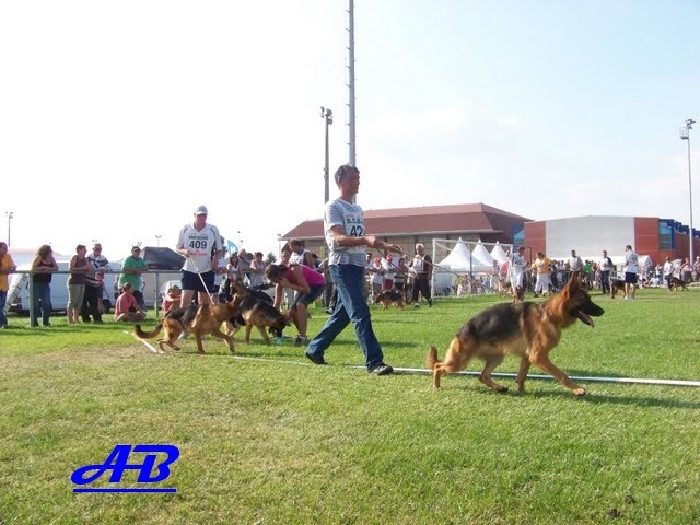 Doulla De parilly - 1 ére TP . 9/12.FEMELLES.CHAMPIONNE DE FRANCE