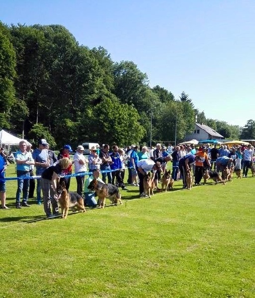Joga bonito De la bastide du val de cagnes - Sg 5