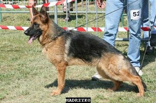 Aqua De la bastide du val de cagnes - 1ére TP.9/12 FEMELLE