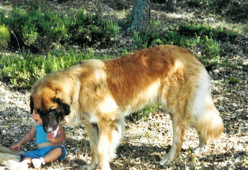 Publication : des hauts de coriolan