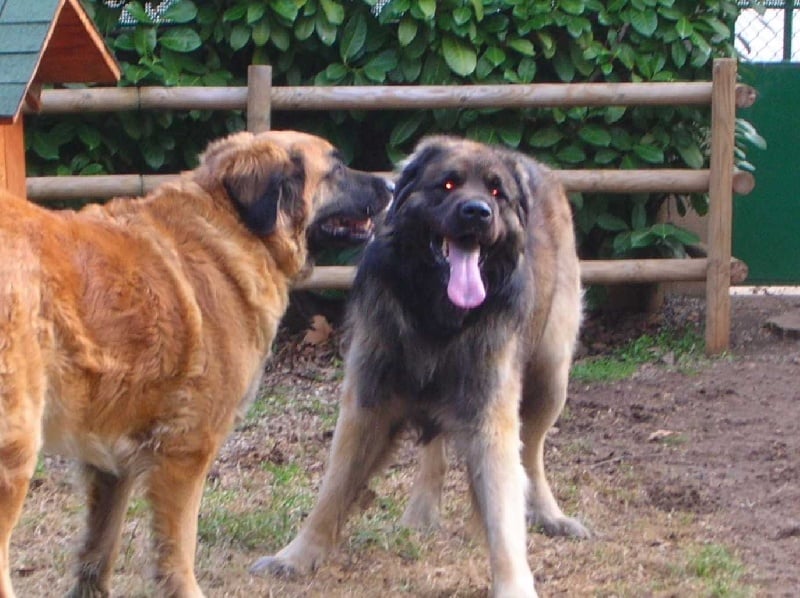 Publication : des hauts de coriolan