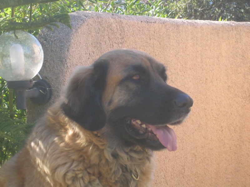 Publication : des hauts de coriolan