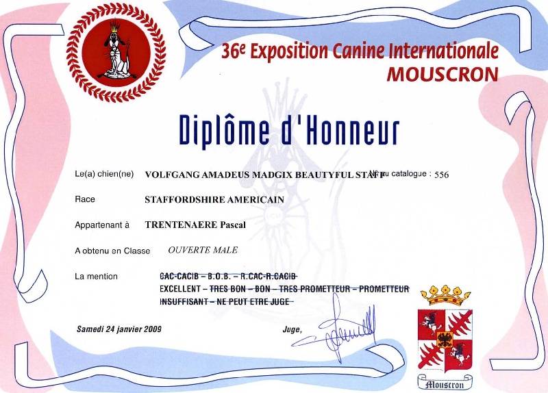 Volfgang amadeus Madgix beautyful staff - 5èmeEXC