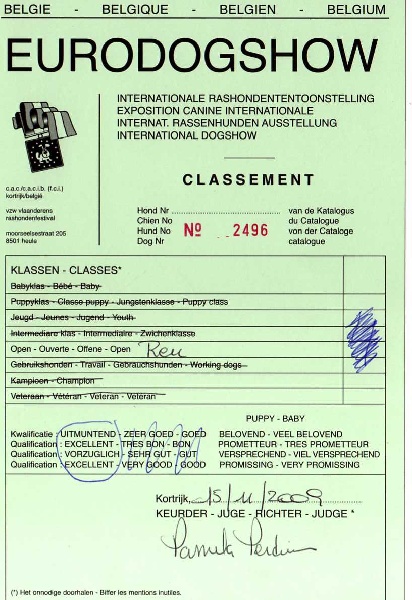 Volfgang amadeus Madgix beautyful staff - EXCELLENT