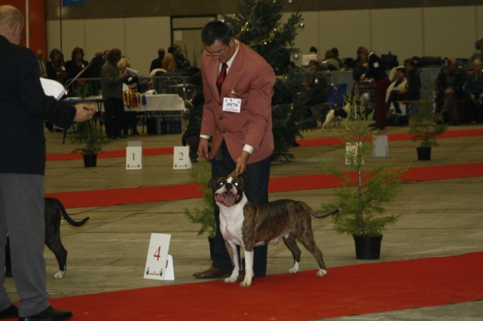 Volfgang amadeus Madgix beautyful staff - 4ème EXC