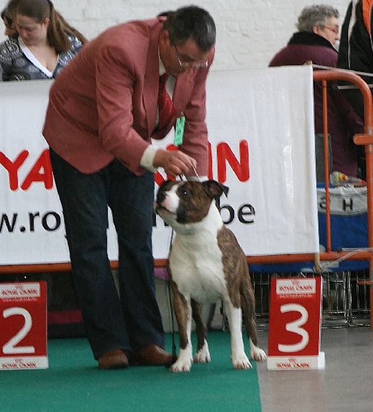 Volfgang amadeus Madgix beautyful staff - 3ème EXC en ouverte