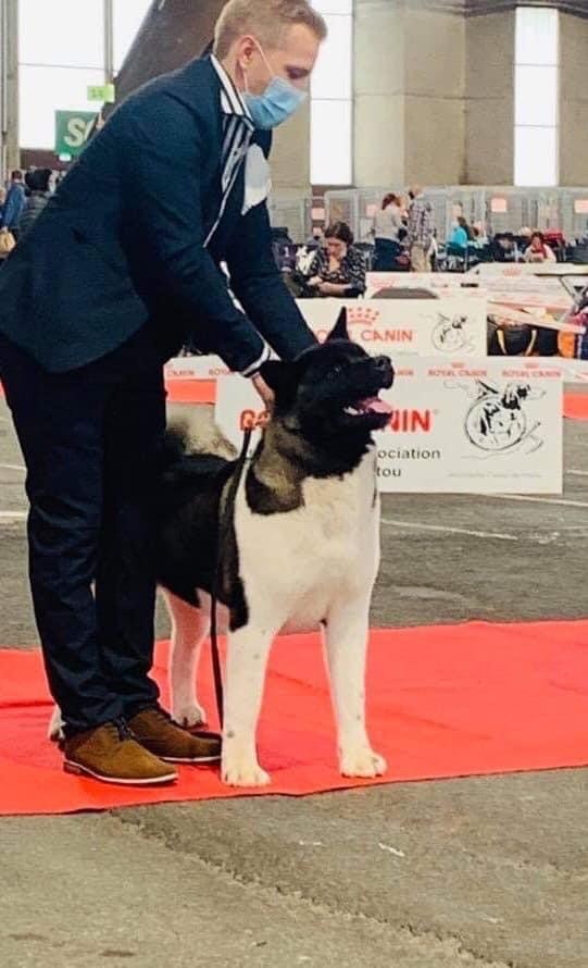 Publication : Les sens Daika