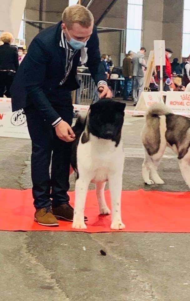 Publication : Les sens Daika