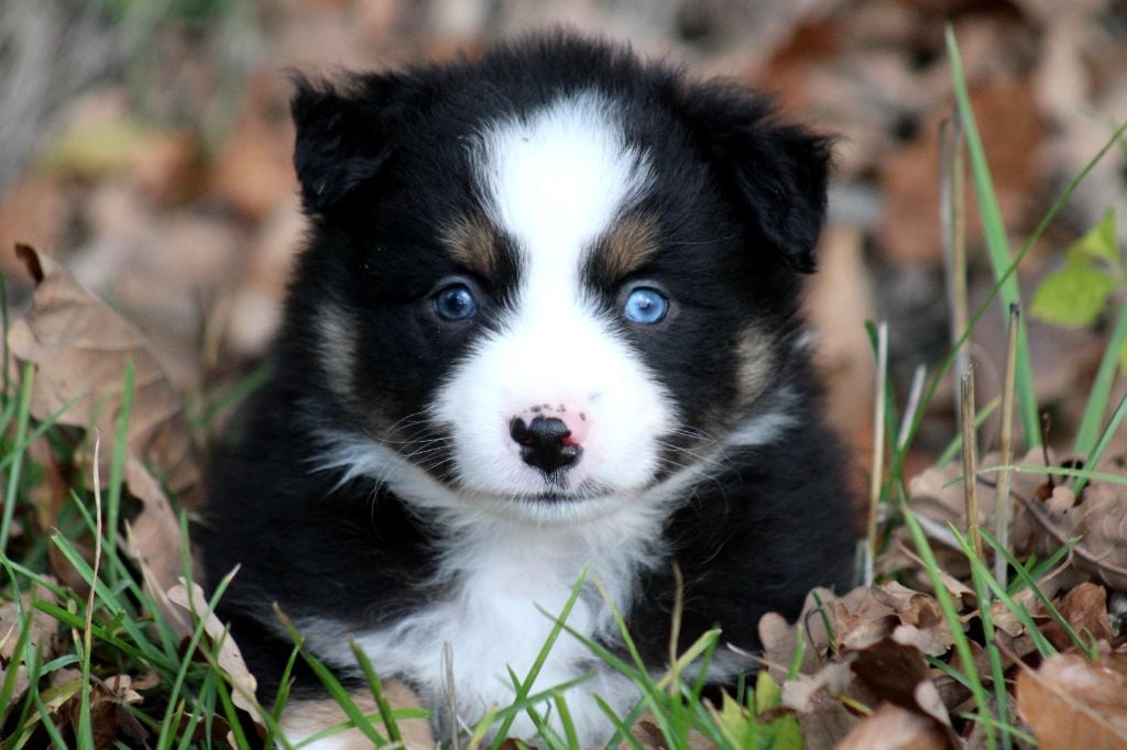 A little Lightning Bolt