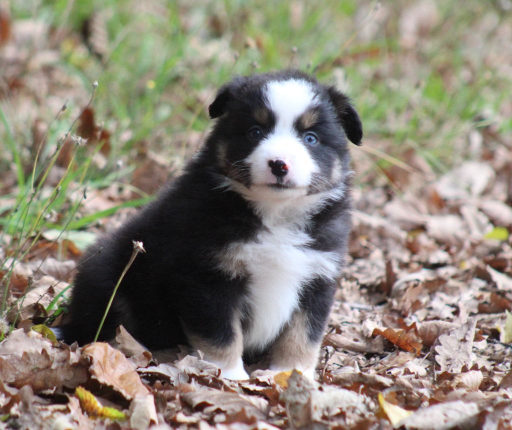 A little Lightning Bolt