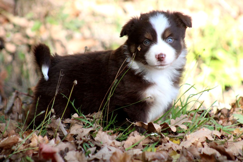 A little Twilight Glow