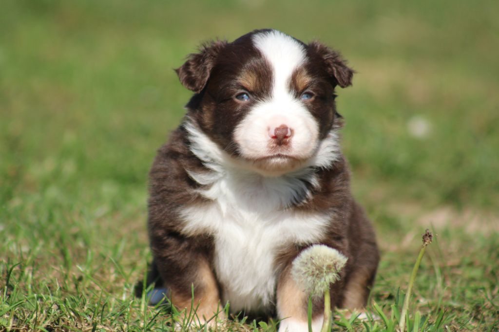 A little Twilight Glow