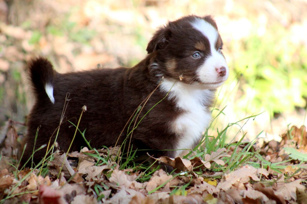 A little Twilight Glow