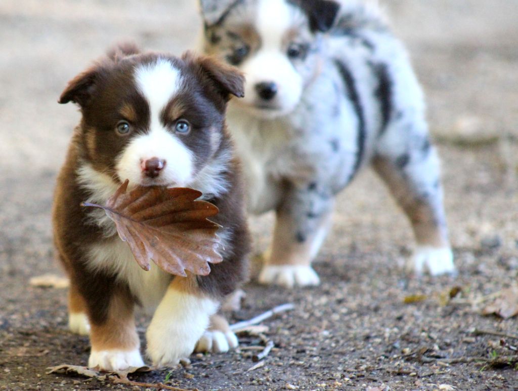 A little Twilight Glow