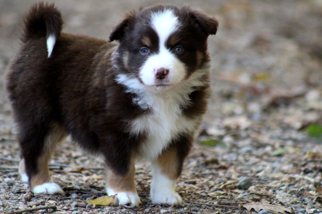 A little Twilight Glow