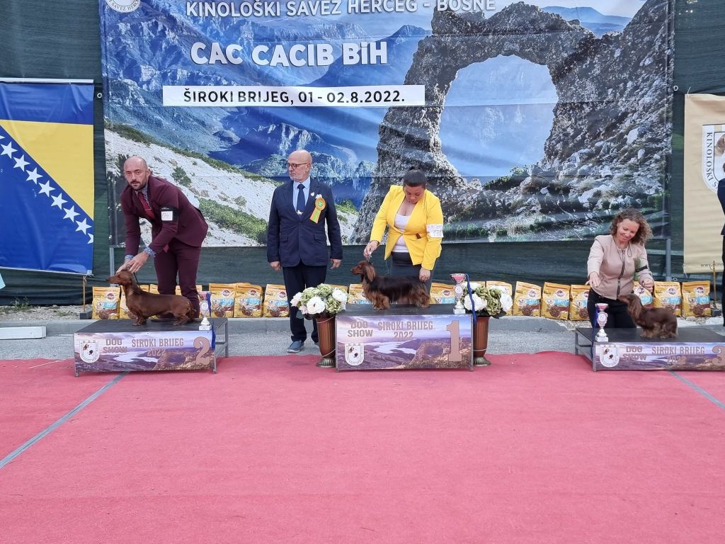 CH. R'mine Du Bois Joli De Saint Jean - 1er Exc en cl Travail, CAC, BOB, BOG3